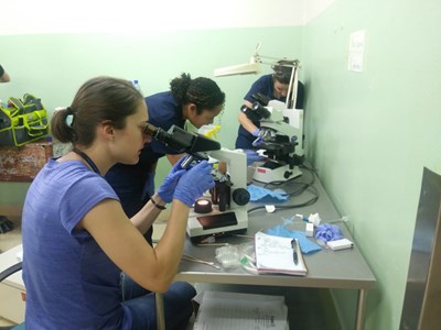One_OTGC_and_Two_Insititute_Participants_Fix_Microscopes
